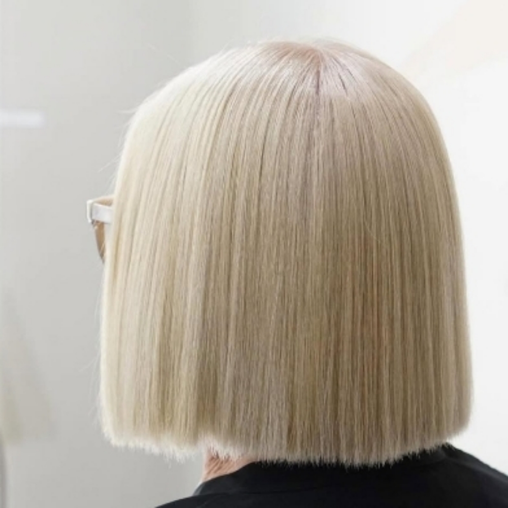 Bleach 'N Tone - Roots To Ends at Salon Blume in Cornelius, NC