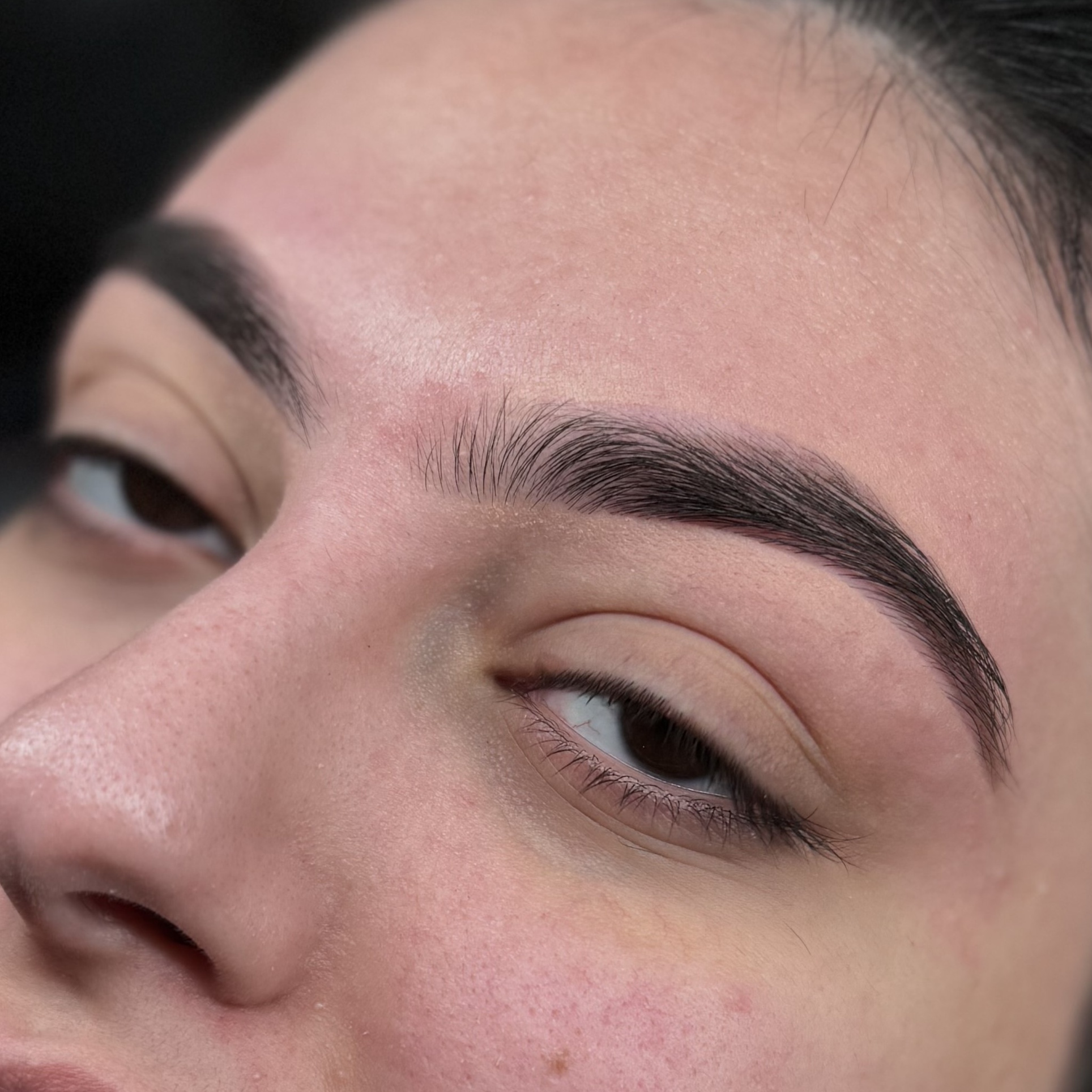 VIP Appt- Lashes at Very Aesthetic Skin + Brows in Franklin, TN