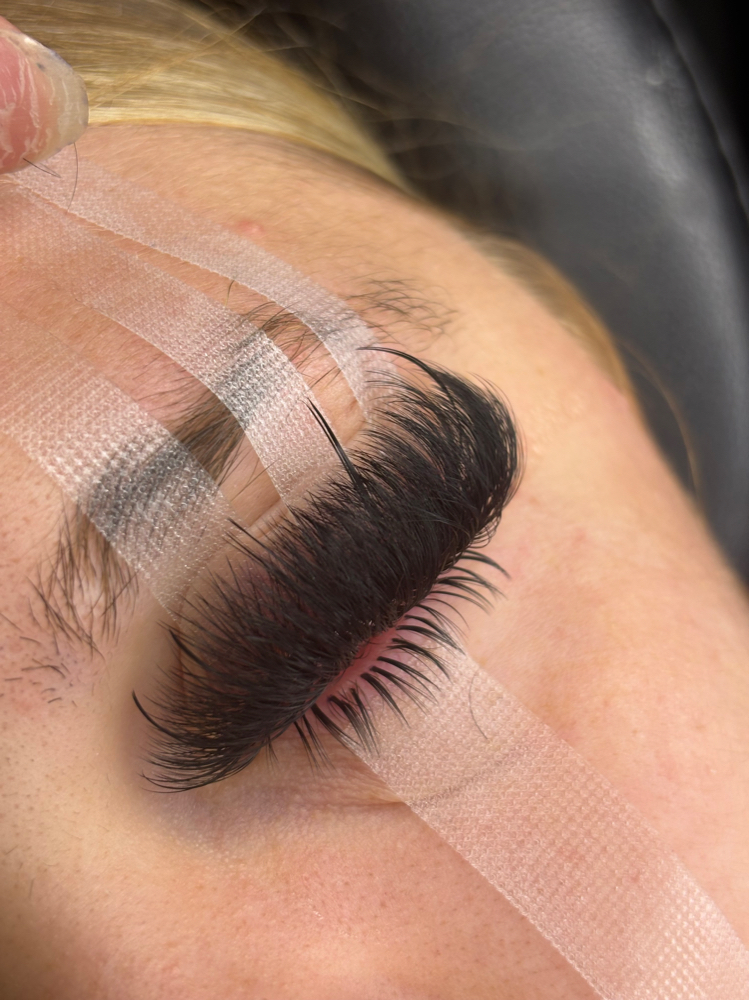 Bottom Lashes