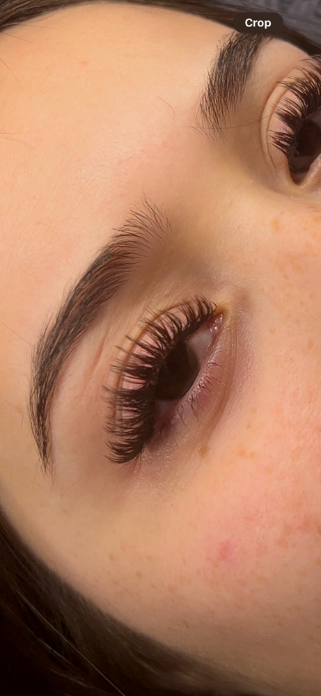MiniFill Eyelash Extensions(weekly)