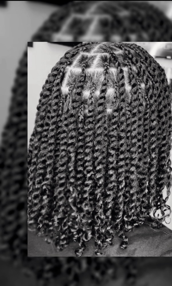 Two Strand Twist $50