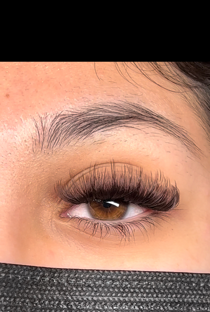 Brown Volume Lashes