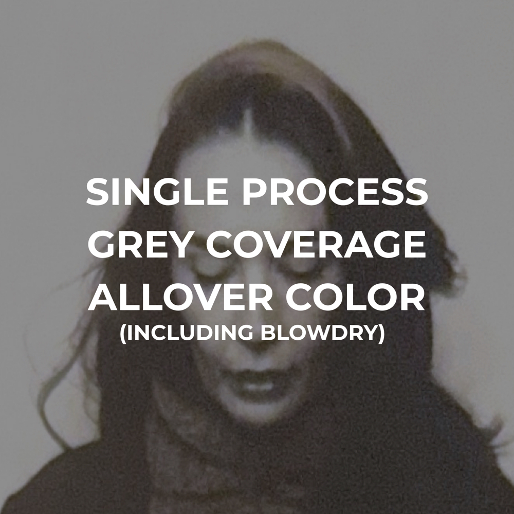 SINGLE PROCESS/GREY COVERAGE at MaggieDoesMyHair in New York City, NY
