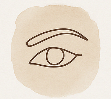 Eyebrow Wax & Shape at WaxHaus in Trinity, FL