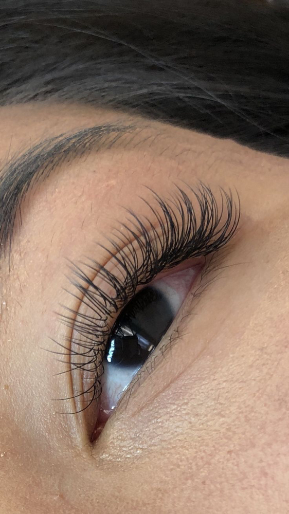 Classic Lashes