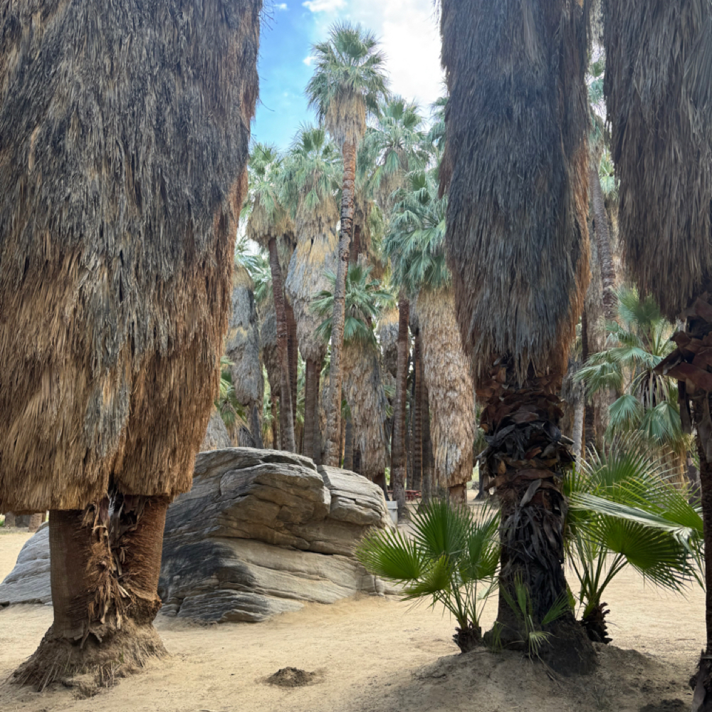 Cut, Wash & Curl at Indigo Salon @ Beaumont in Lexington, KY