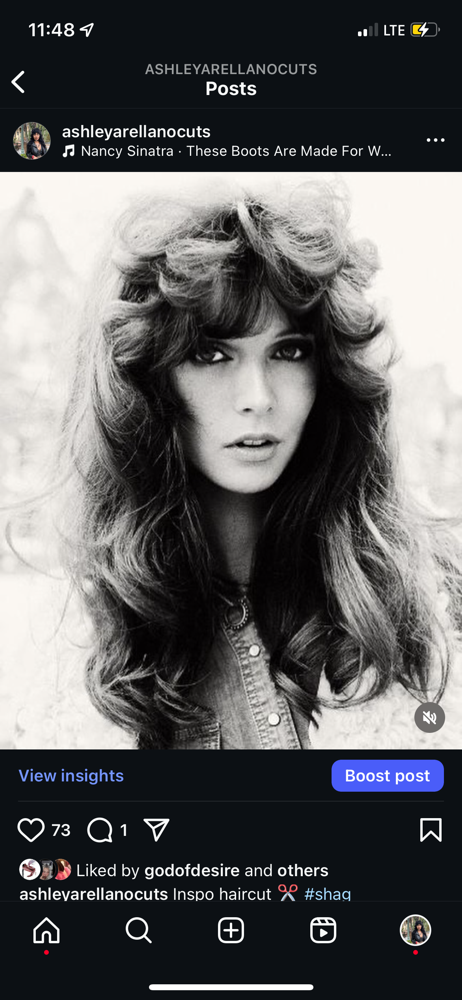 Long Shag Haircut