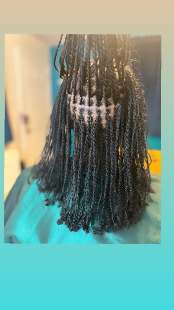 Micro-Locs (Natural Hair Only)