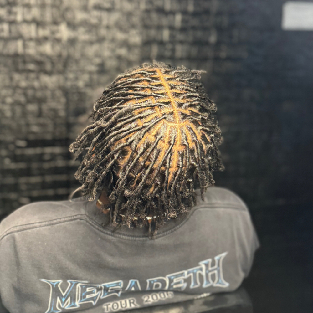 Starter Locs at StylezByJazmyne in Oklahoma City, OK