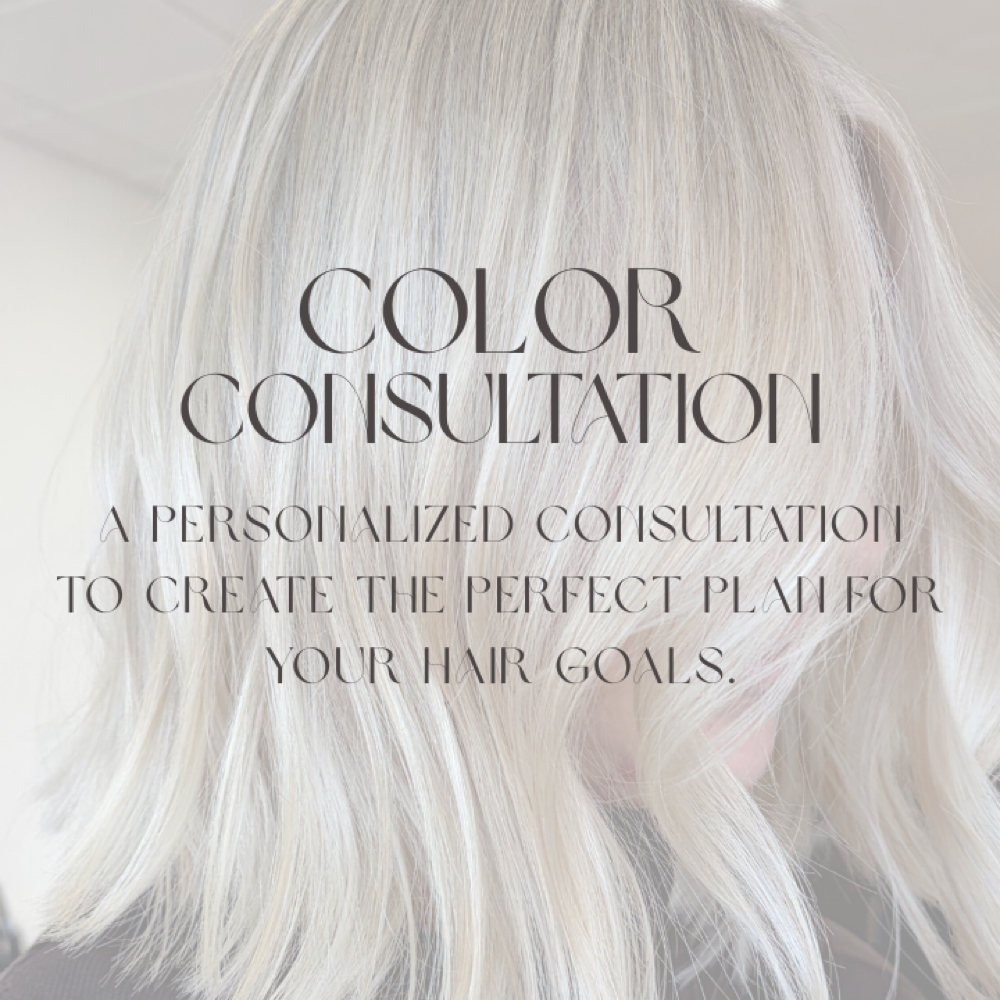 Color Consultation at Rose Hair & Co. in Cumming, GA