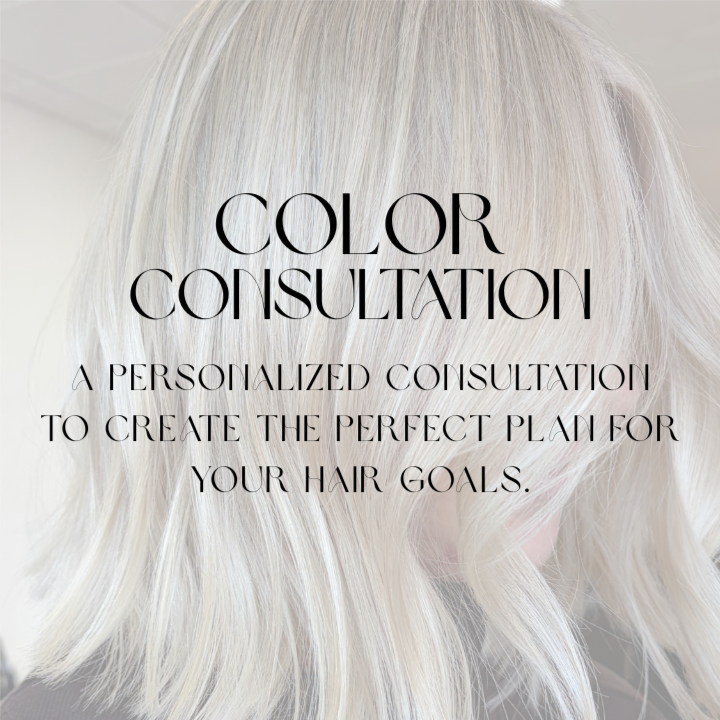 Color Consultation at Rose Hair & Co. in Cumming, GA