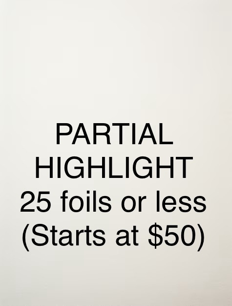 Partial Highlight With Cut at Hair By Megan @ Allardt Beauty & Co in Allardt, TN