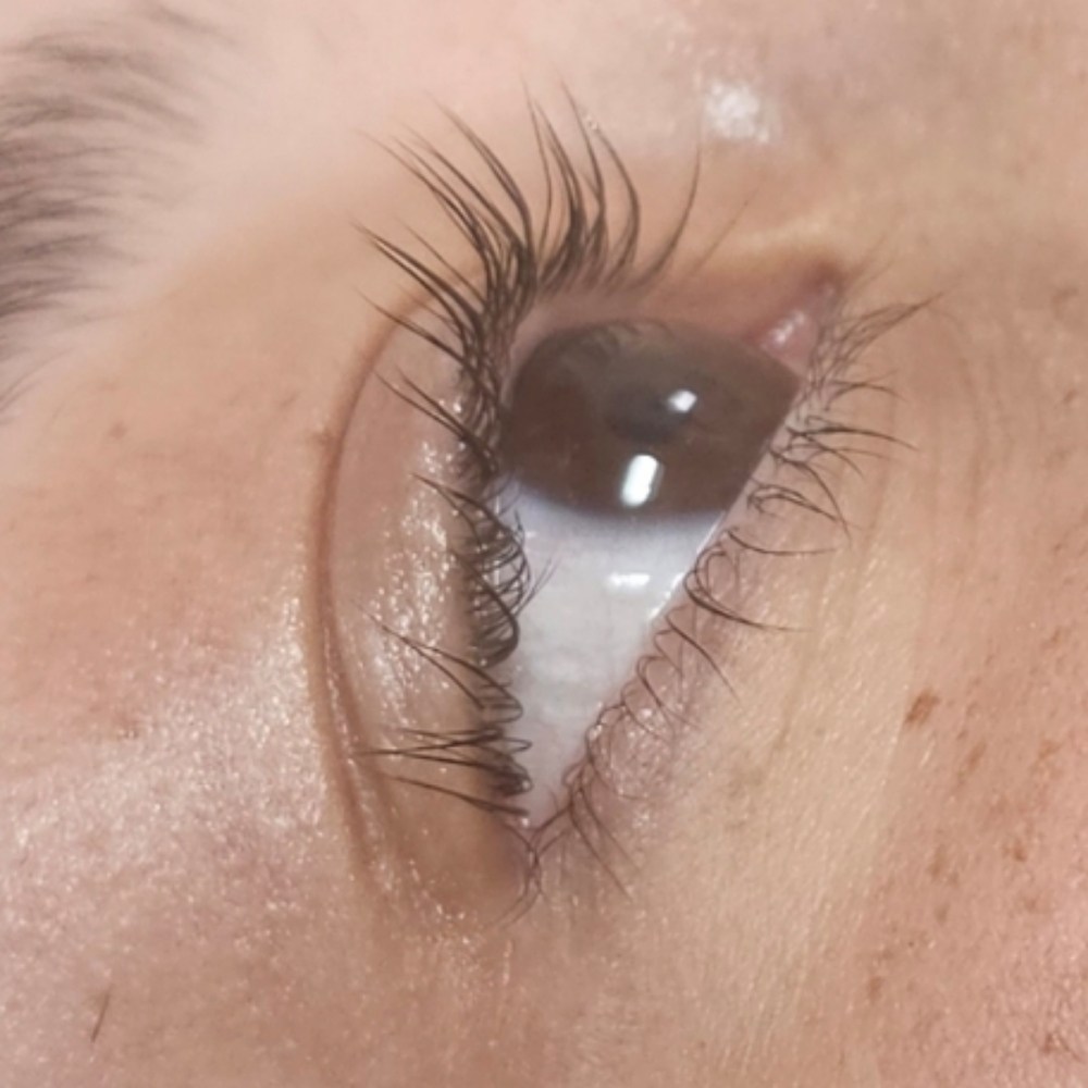 Lash Lift & Tint at Lubbock Lash Lady in Lubbock, TX