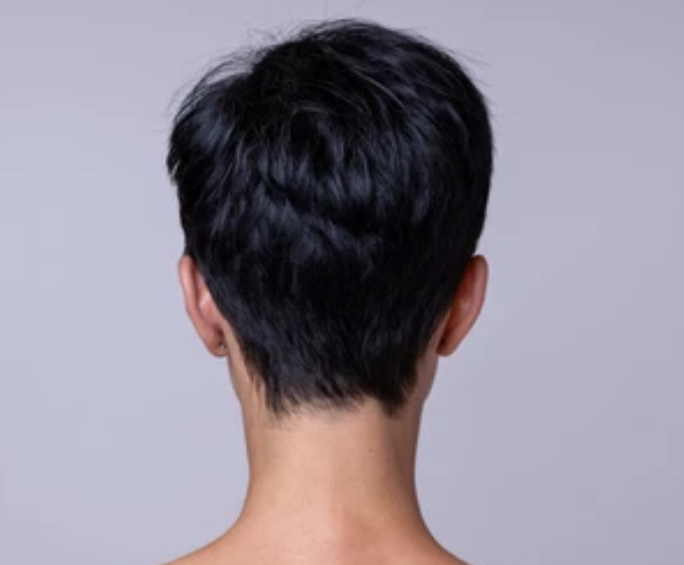 Short Haircut/ Clipper Haircut