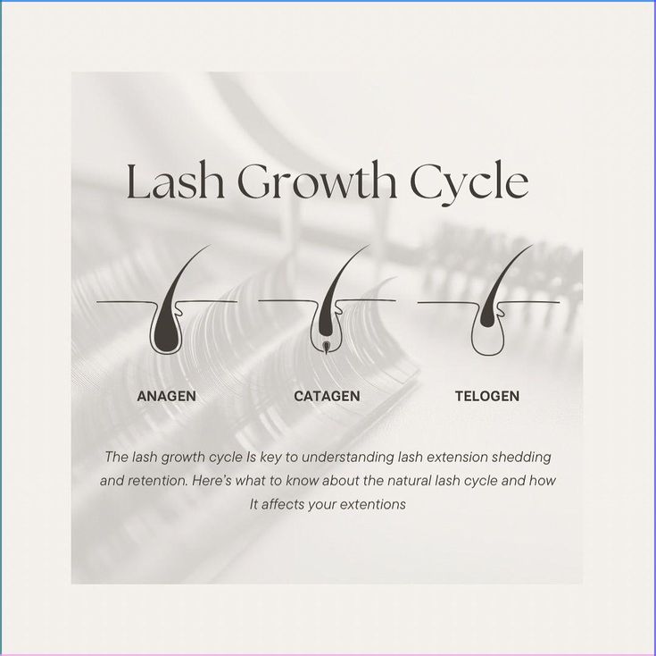 Lash Consultation