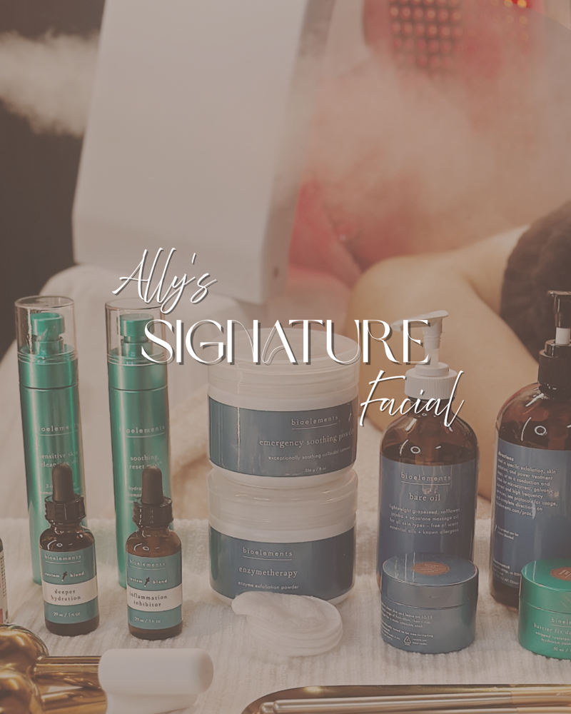 Ally’s Signature Facial at Lil Glowtique in Wyandotte, MI