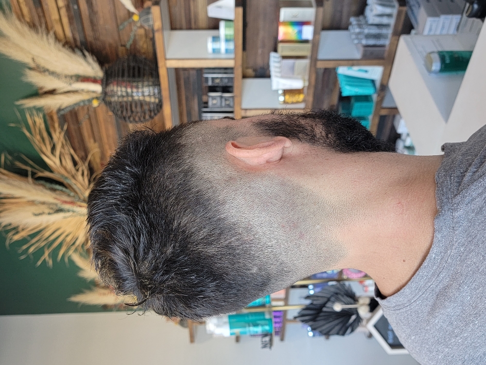 Mens Cut