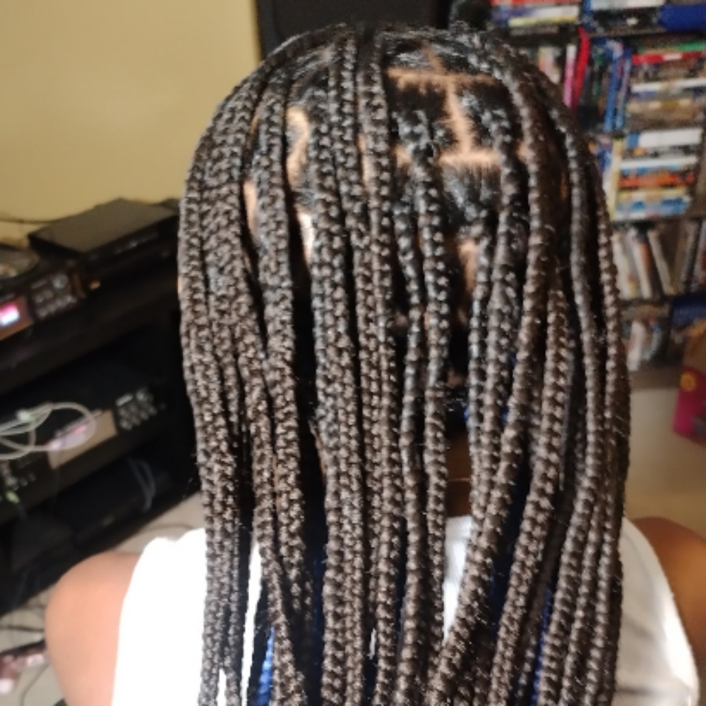 Braid Removal(Box Or Knotless ) at Elegant Disclosure Hair Studio in Blaine, MN