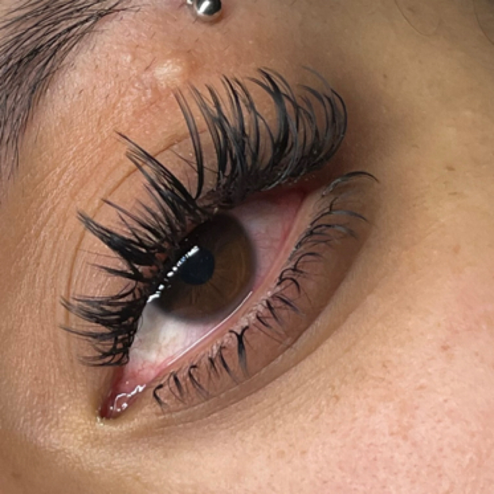 Bottom Lash Refill at Opulent Beauty in Houston, TX