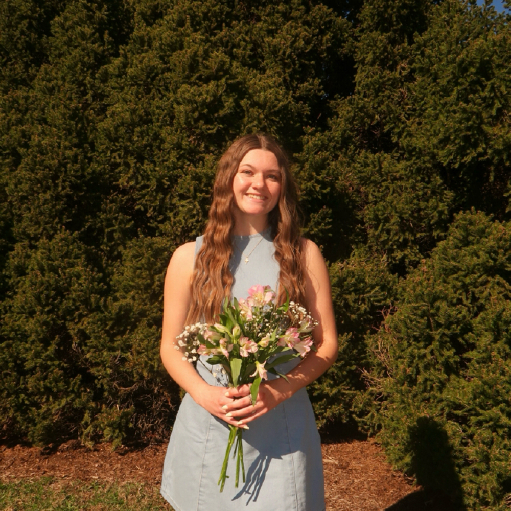 Brow Lamination + Tint at Beautybyriley in Hamilton, OH