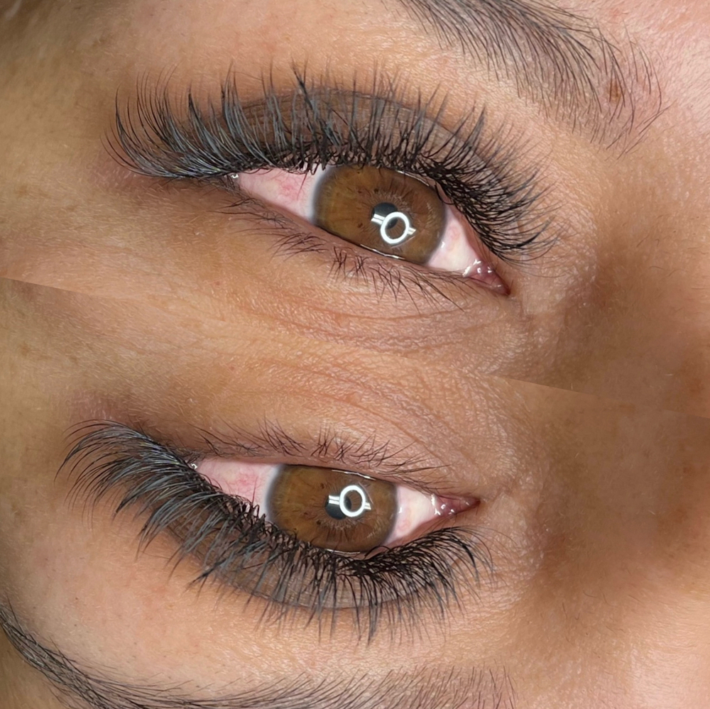 Refill- Hybrid/ Wet Lashes at The Skin Room Aesthetic and Wellness  LLC in Longview, TX