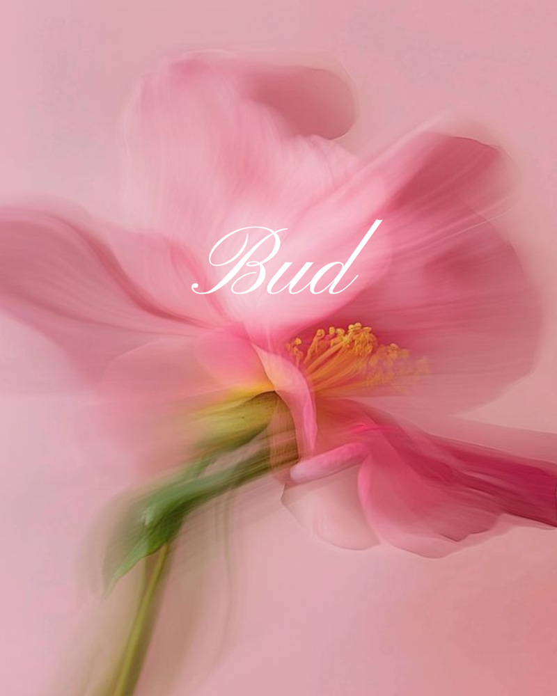 Bud - Foundational Glow