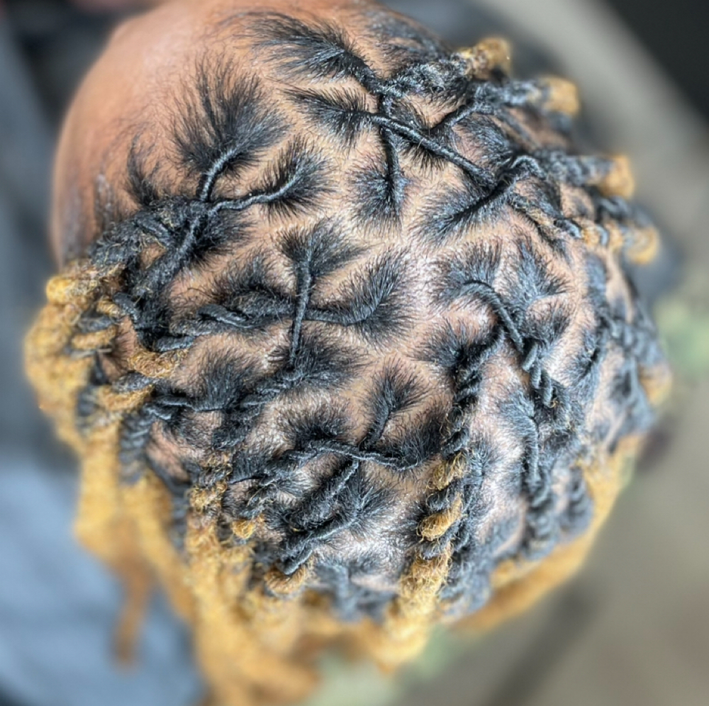 The Works | Deep Cleans & Cond. at ECLECTIC STYLEZ in Portsmouth, VA