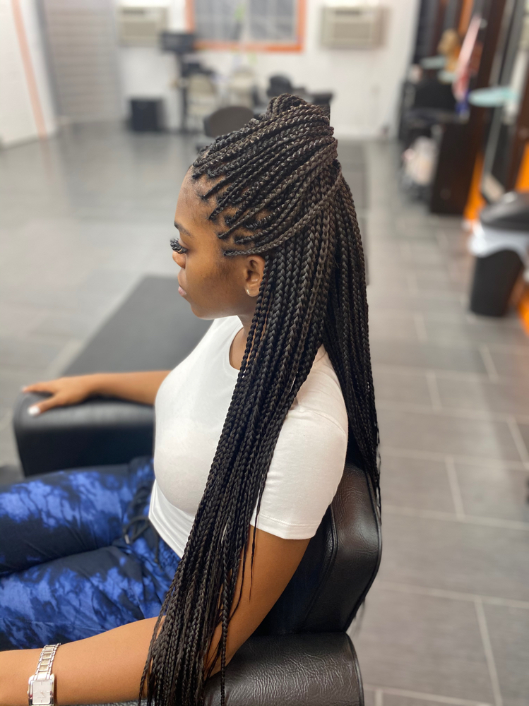 Box Braids (Small)