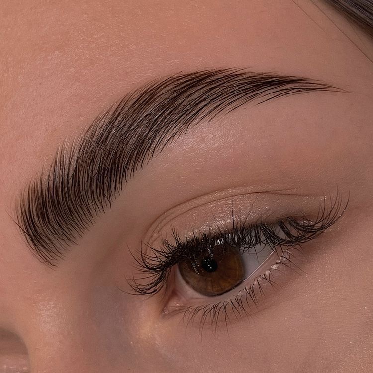 Brow Tint + Lamination at Wildflower Esthetics in Marshville, NC