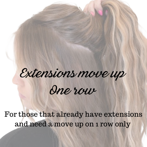 1 Row Hand Tied Extensions