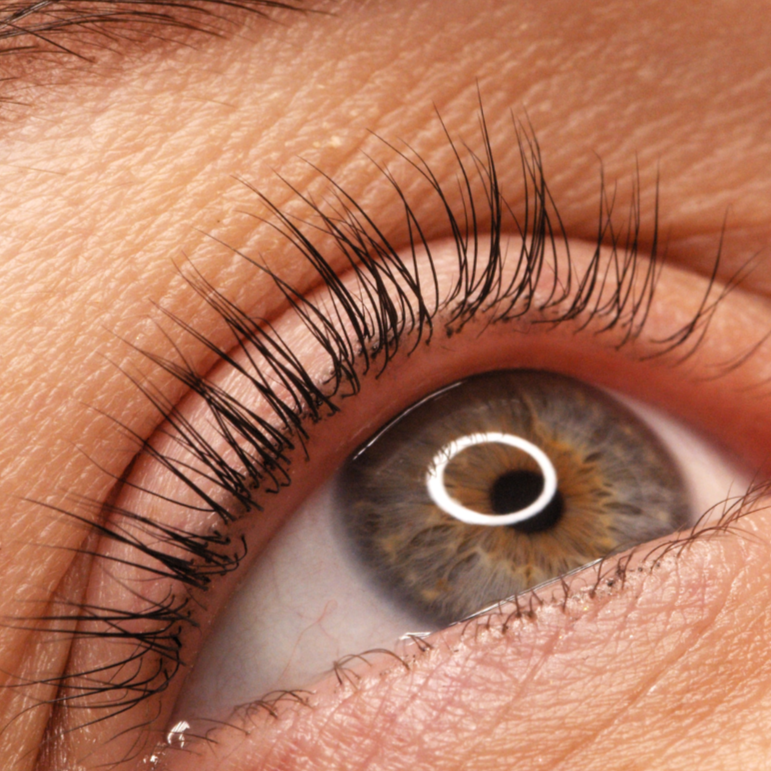 Lash Removal at Elegant Bliss Skincare in Boulder, CO