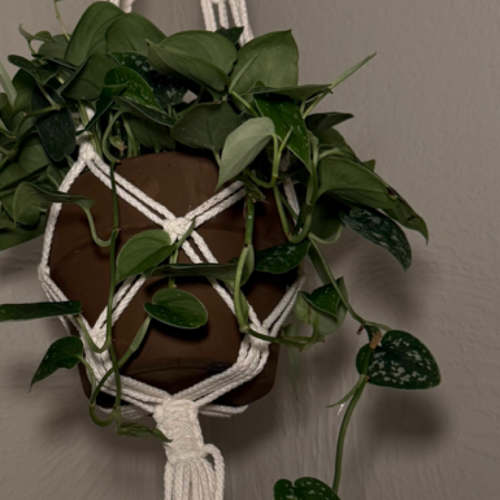 SereneBright at SereneSkin in Porterville, CA