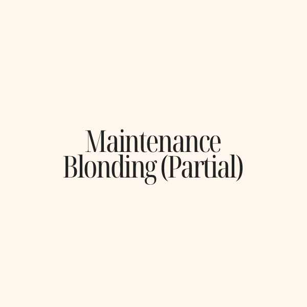 Maintenance Blonding (Partial)