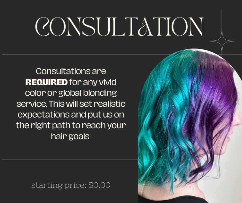 Vivid Color/ Blonding Consultation