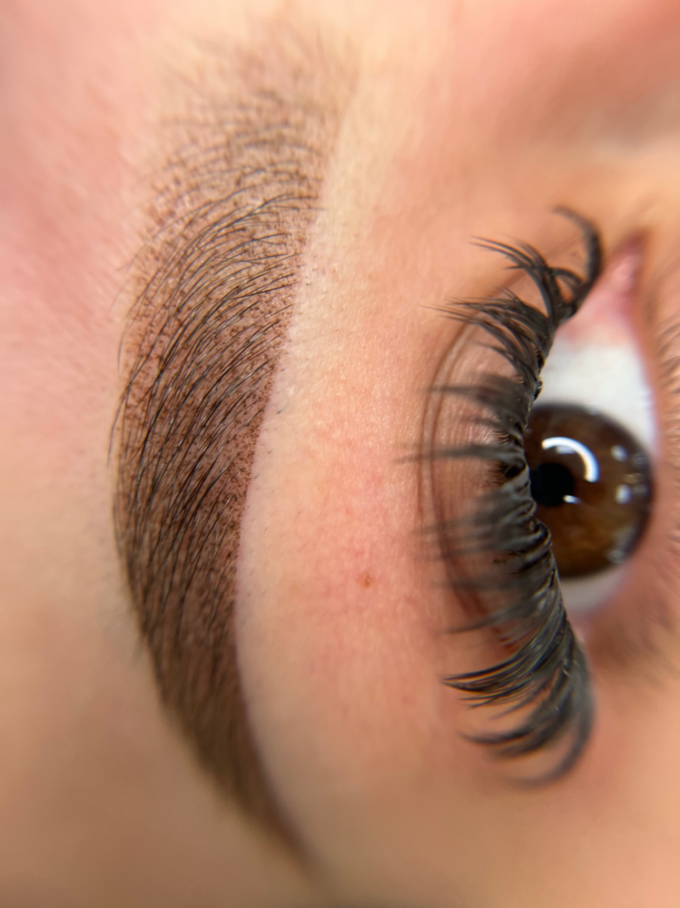 Powder Brow (previous work)