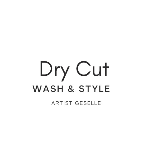 Dry Cut + Wash & Blowout