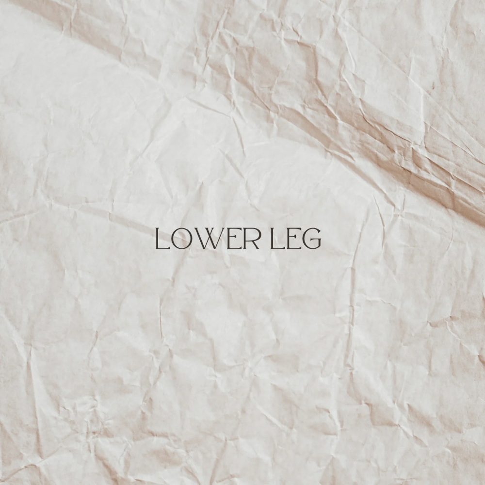 Lower Leg