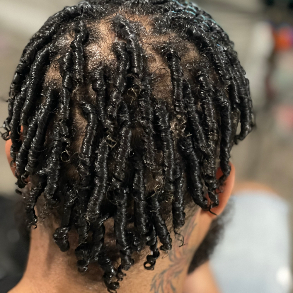 Comb Twist at Fawn’s Be’You’Tiful Creations By Elise in Tempe, AZ