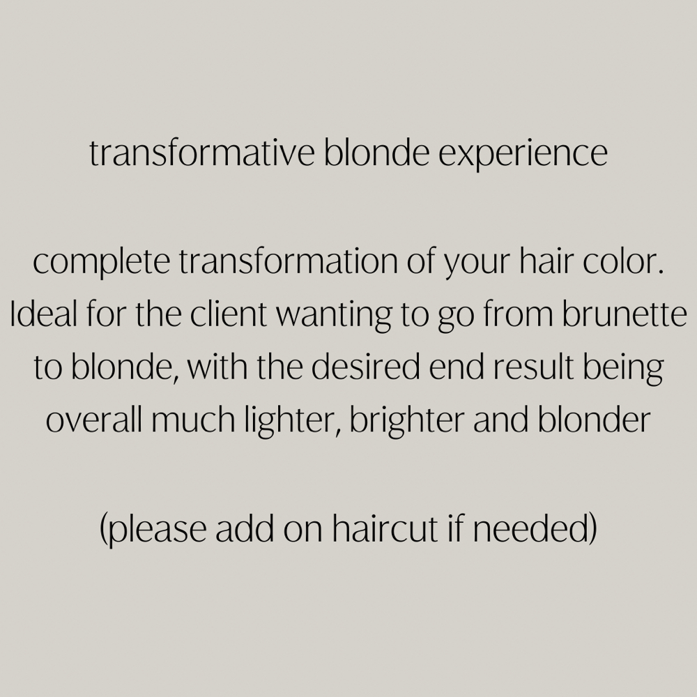 Transformative Blonde Experience at lc blonding co. in Washington Township, MI