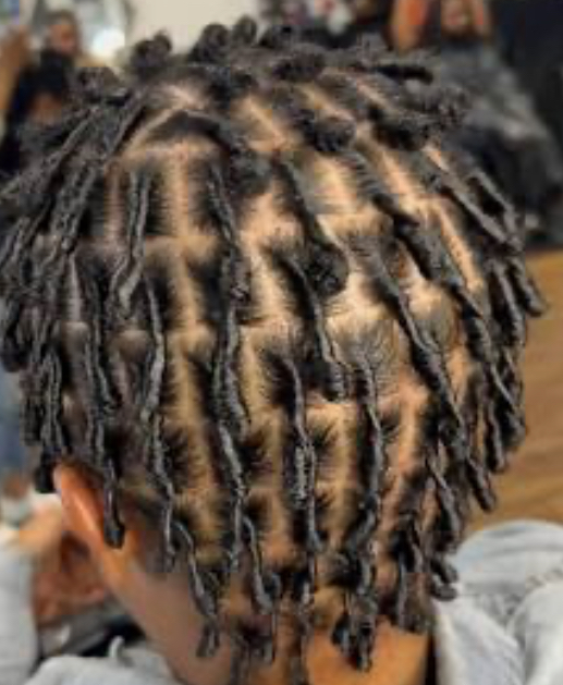 Starter Locs
