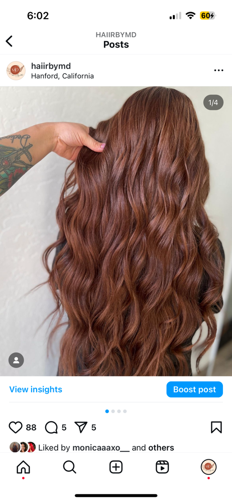 Lux Wash, Cut & Style