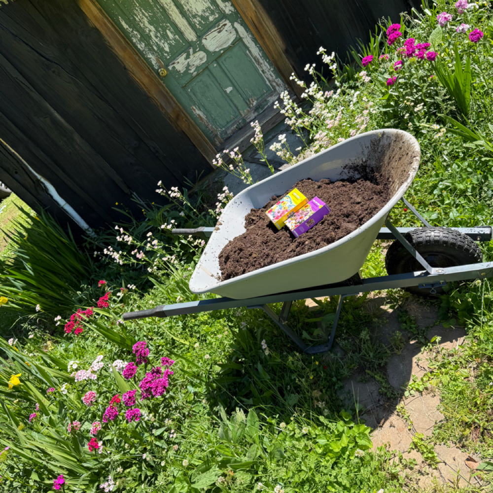 Wheelbarrow Garden Minis at Sunshine Studios by Traci Browning in Hanover, WV