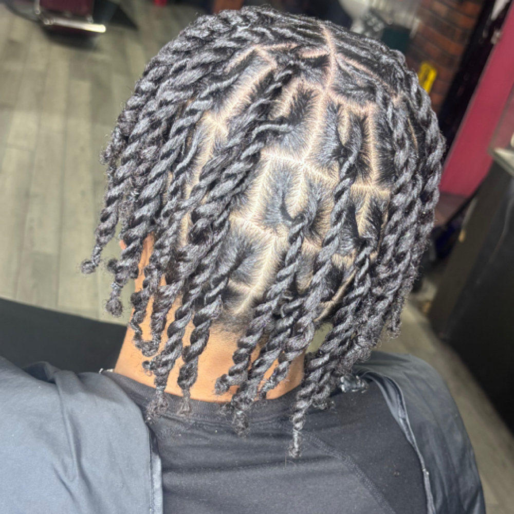 Two Strand Twists at Addiction’s Salon in Bowling Green, KY