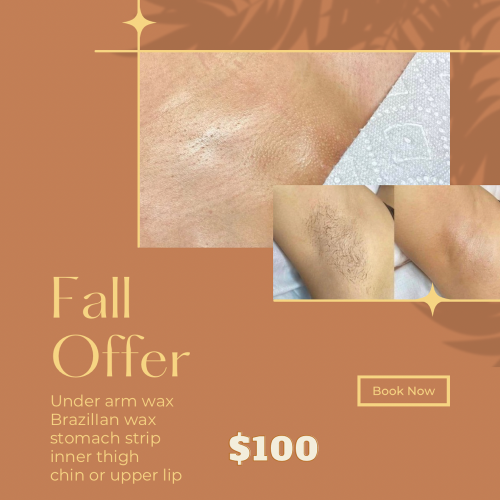 Fall Offer