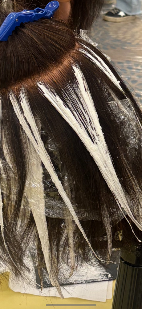Hand Painted Balayage
