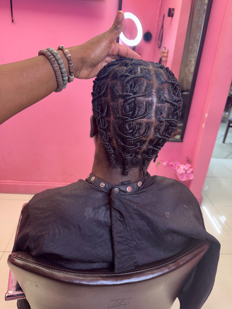 invisible locs