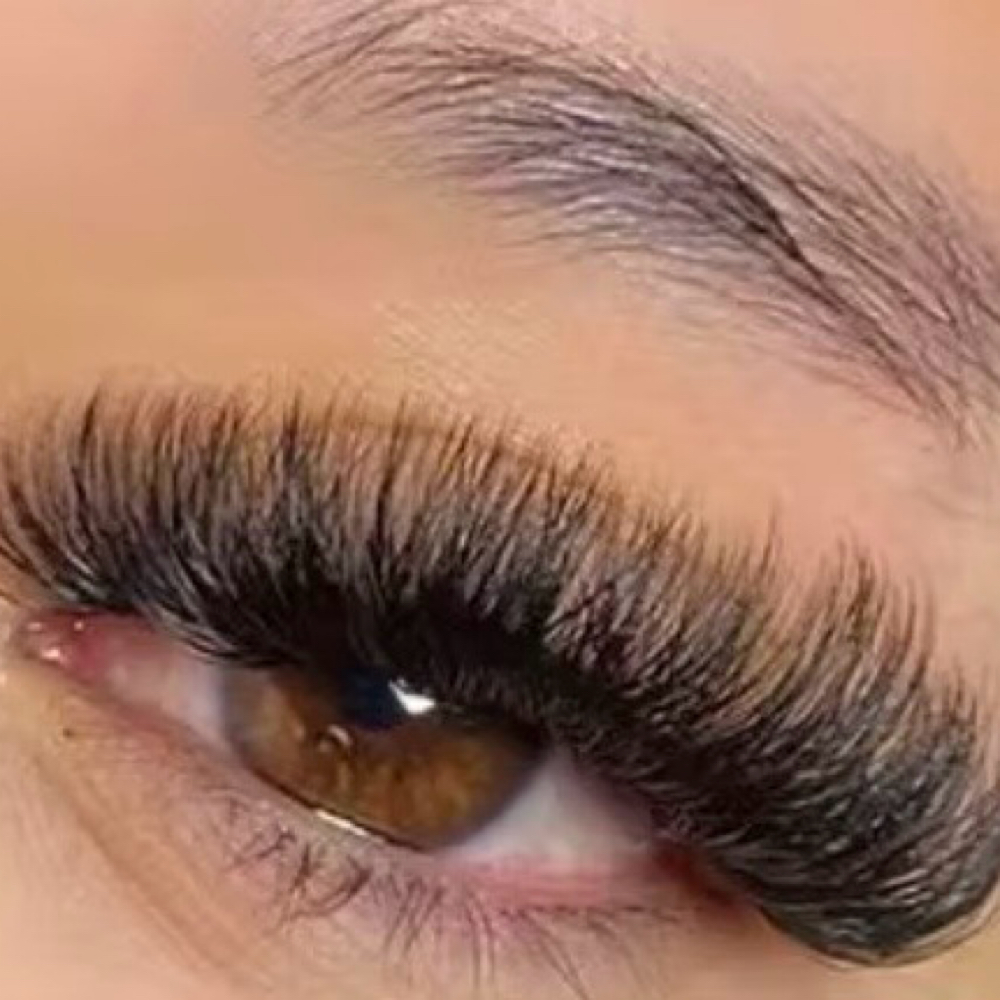 Volume Lash Set at Ashley  Alvarado in Lubbock, TX