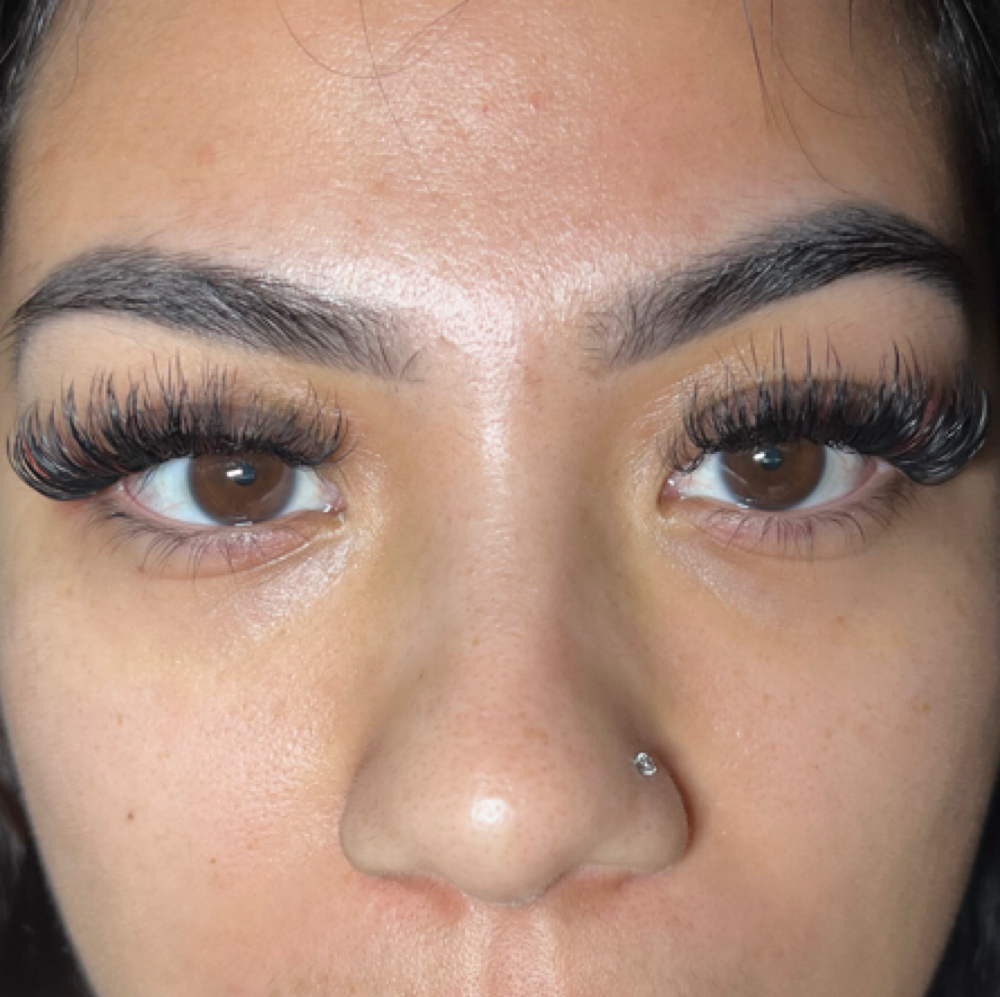 Volume Fill 2-3 Weeks at Aloha Lashes and Brows in Ventura, CA