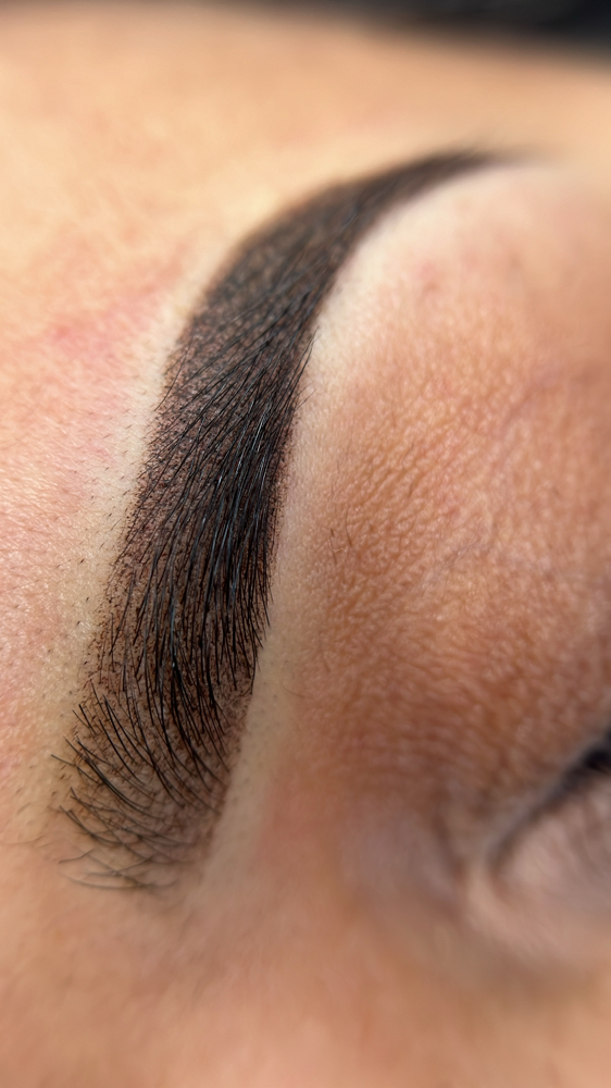 Powder Brows Touch Up 6-8 Weeks