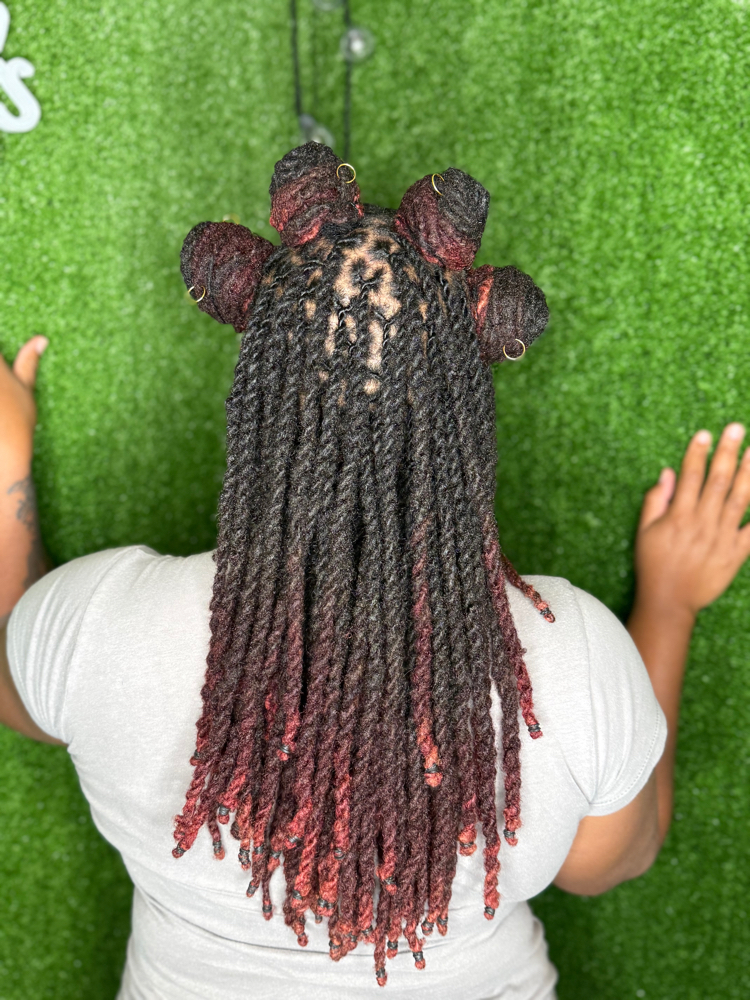 Loc Retwist Bra Length
